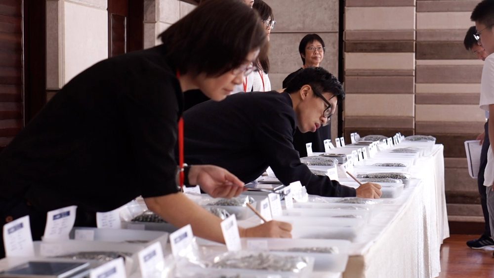 Buyers examining lots during a viewing day in Hong Kong