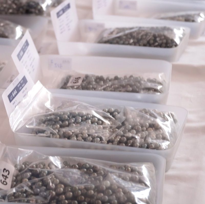 Sorted lots of pearls, bagged and labelled for auction